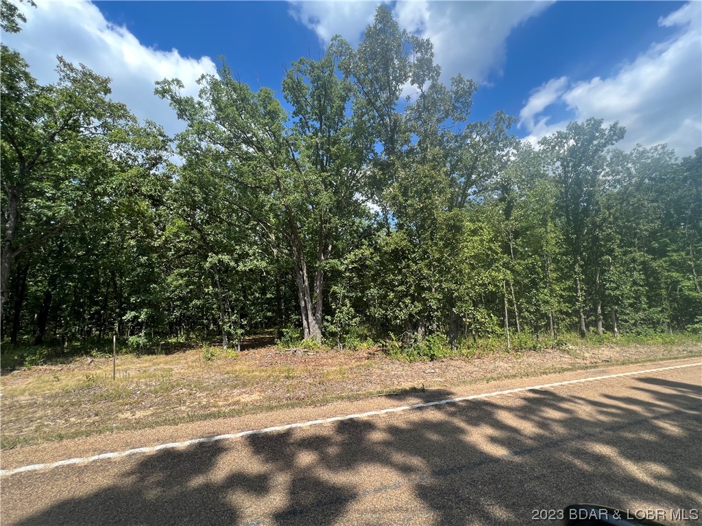 Lot E 135 Highway Gravois Mills Missouri home for sale listed at $29,330