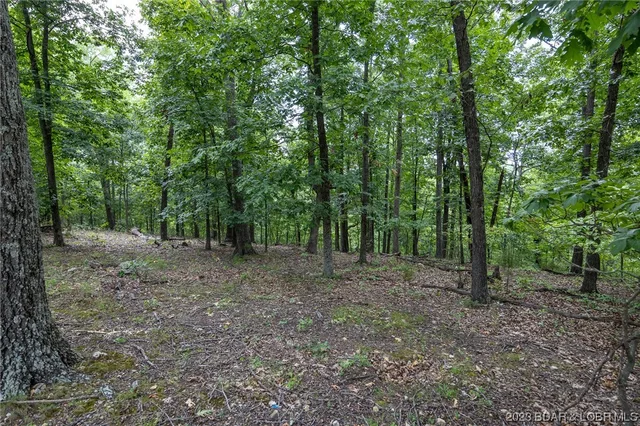 Primary bedroom — TBD Compromise Road Gravois Mills Missouri real estate