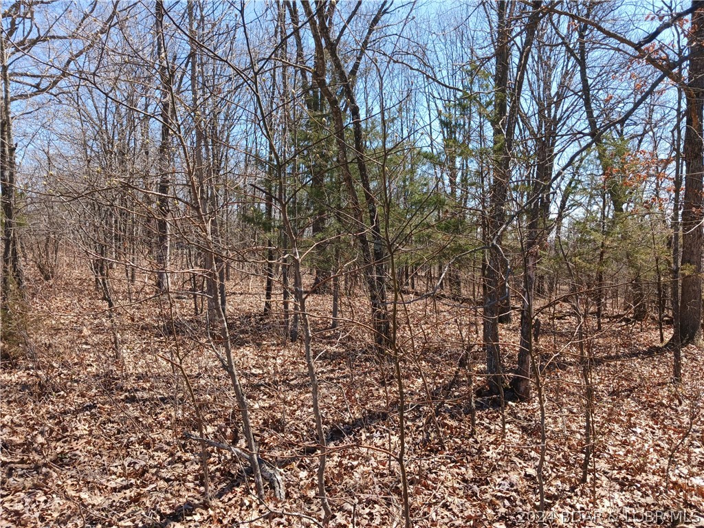 TBD Fresno Lane Versailles Missouri home for sale listed at $38,000