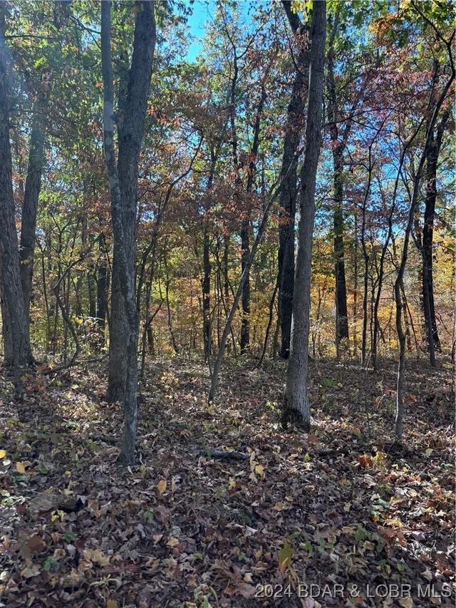 Front exterior — 10.4 ac State Hwy T Road Stover Missouri real estate