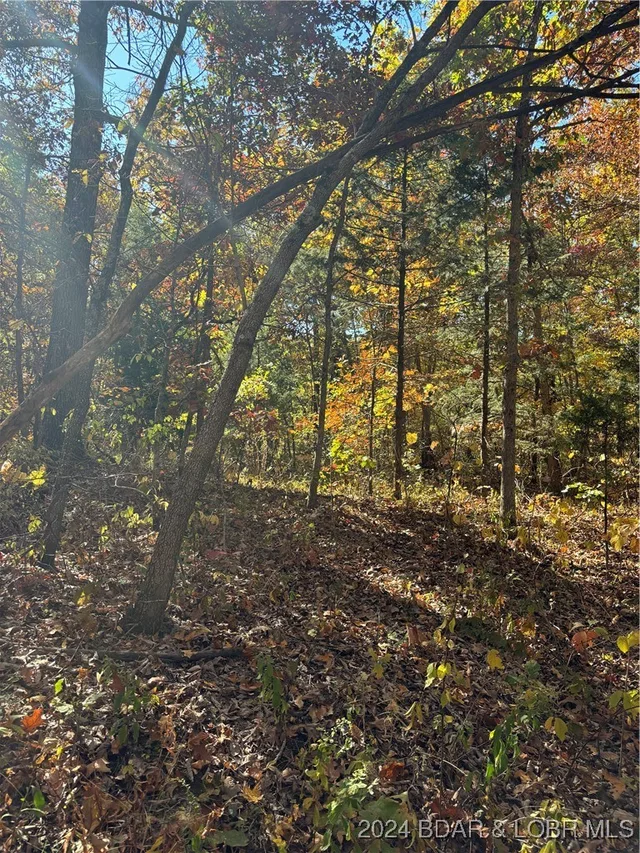 Living room — 10.4 ac State Hwy T Road Stover Missouri real estate