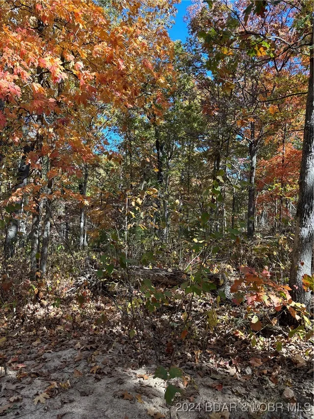 Kitchen — 10.4 ac State Hwy T Road Stover Missouri real estate