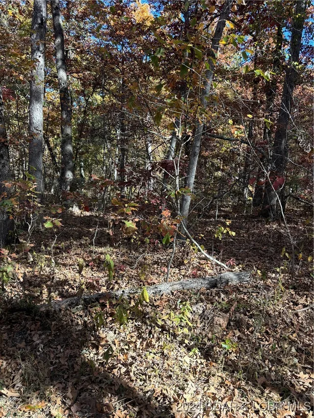 Primary bedroom — 10.4 ac State Hwy T Road Stover Missouri real estate
