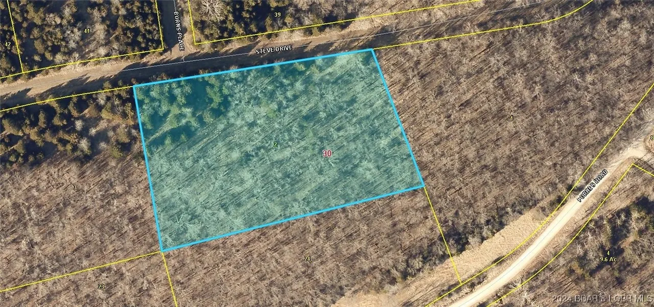 3058 Steve Drive Edwards Missouri home for sale listed at $4,500
