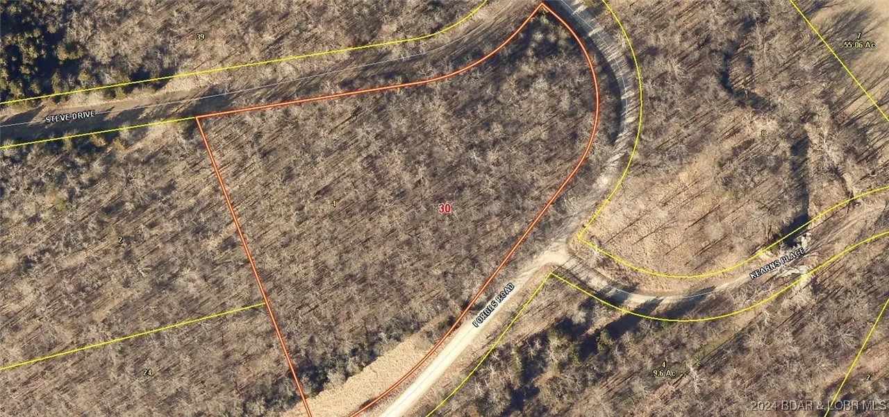 3059 Forbes Road Edwards Missouri home for sale listed at $5,000