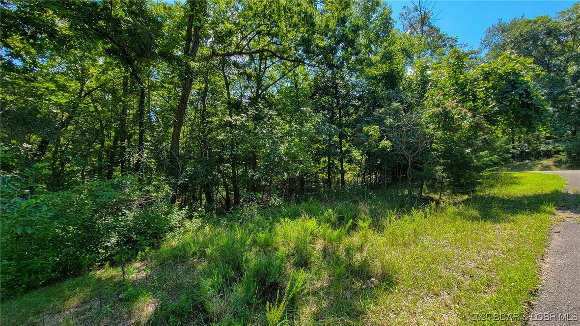 Lot #866 Grand Cypress Court Sunrise Beach Missouri home for sale listed at $12,000