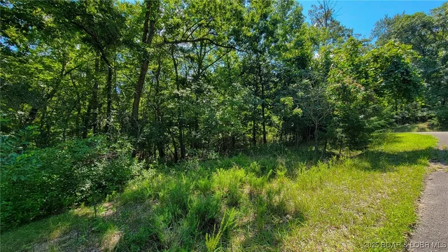 Lot #866 Grand Cypress Court, Sunrise Beach MO