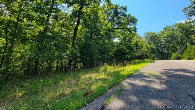 Living room — Lot #866 Grand Cypress Court Sunrise Beach Missouri real estate
