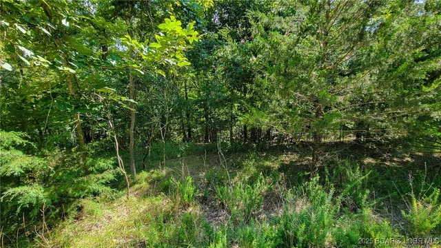 Kitchen — Lot #866 Grand Cypress Court Sunrise Beach Missouri real estate
