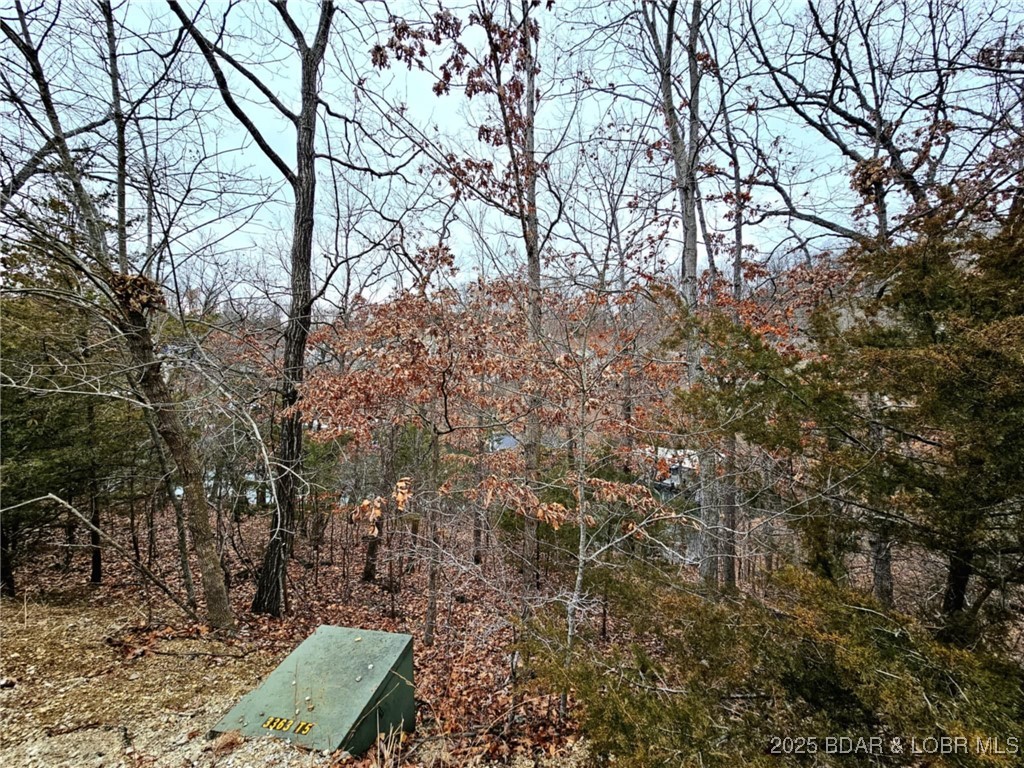 Photo 13