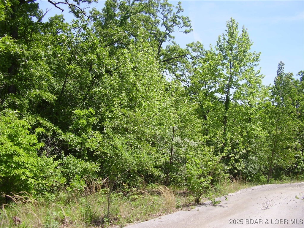 20 Silver Spur Court Camdenton Missouri home for sale listed at $20,000