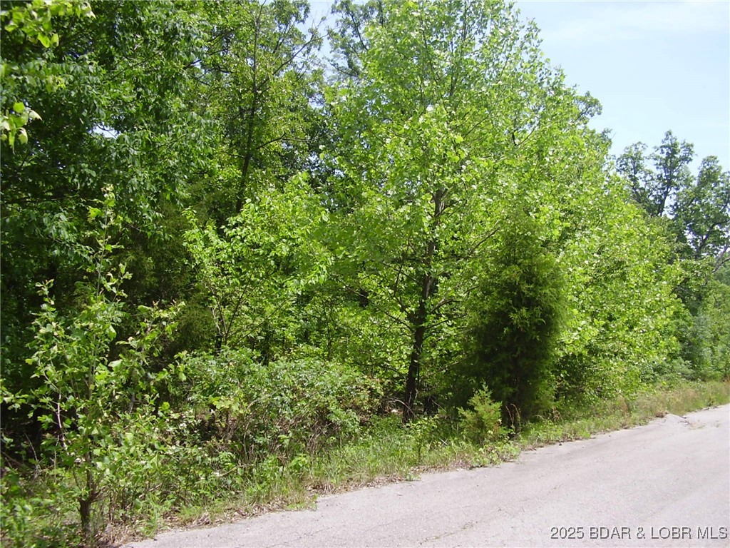19 Silver Spur Court Camdenton Missouri home for sale listed at $15,000