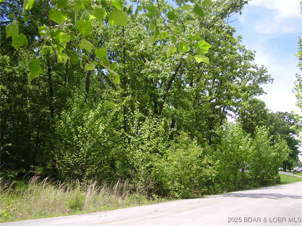 26 Silver Spur Court Camdenton Missouri home for sale listed at $17,500