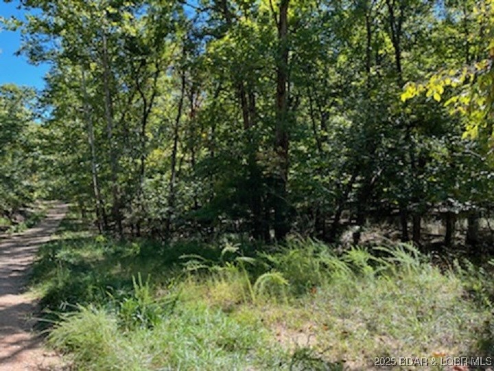 94 Cheyenne Drive Four Seasons Missouri home for sale listed at $3,000
