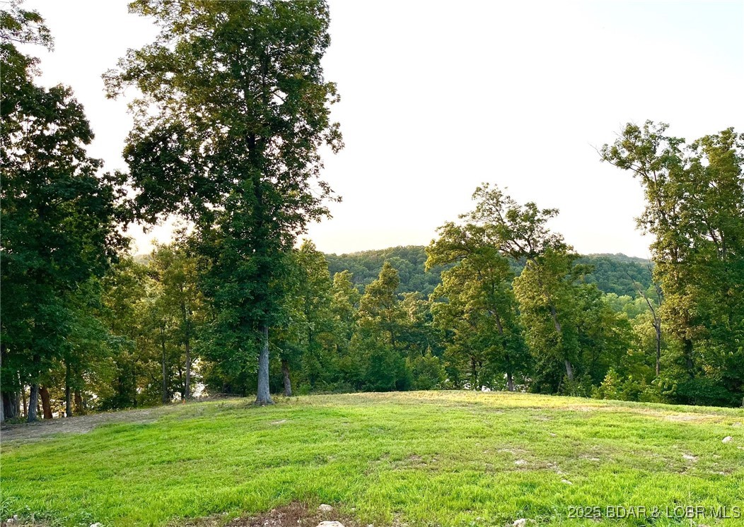 Photo 52