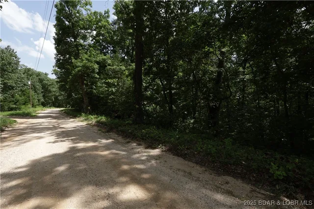 Primary bedroom — Lot 211 Bogue Circle Rocky Mount Missouri real estate