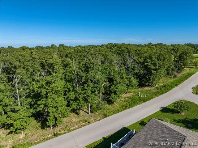 Living room — Lot #181 Irwin Drive Gravois Mills Missouri real estate