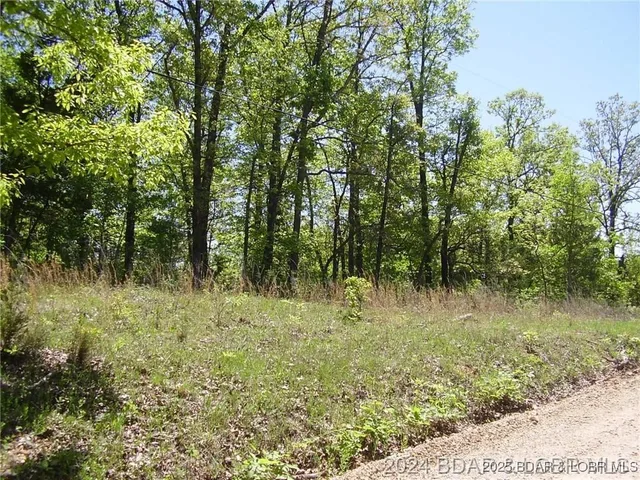 Primary bedroom — Lot #3892 Neuharth Circle Edwards Missouri real estate
