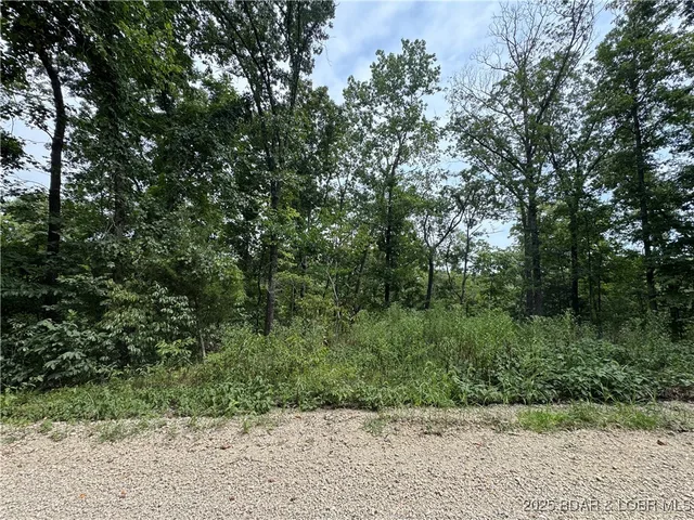 Front exterior — Cook Road Gravois Mills Missouri real estate