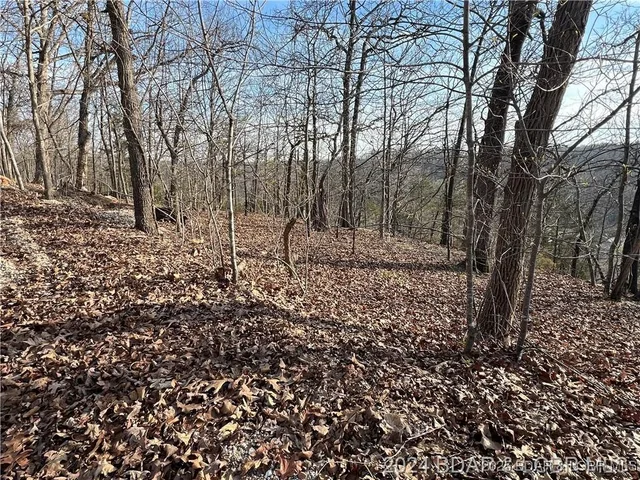 Front exterior — Lot 580 Manchester Lane Camdenton Missouri real estate