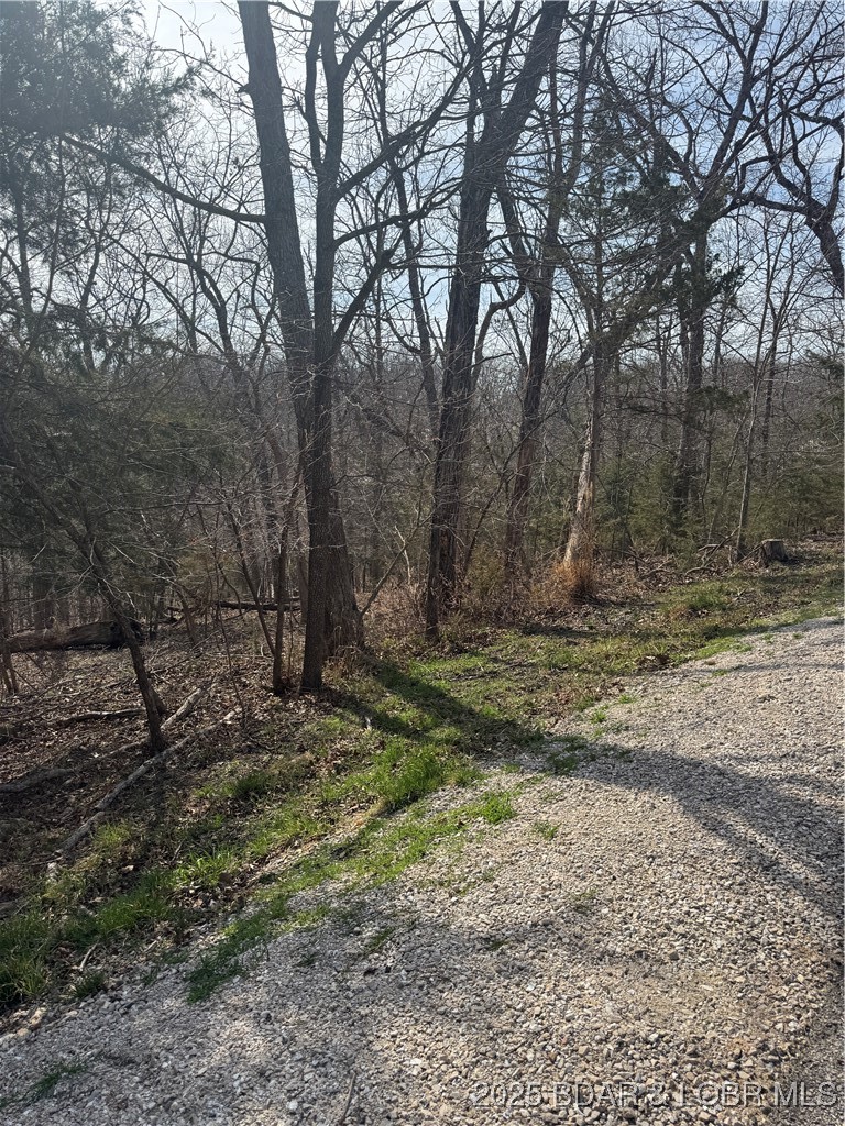 Lot 979 Bobcat Four Seasons Missouri home for sale listed at $2,795