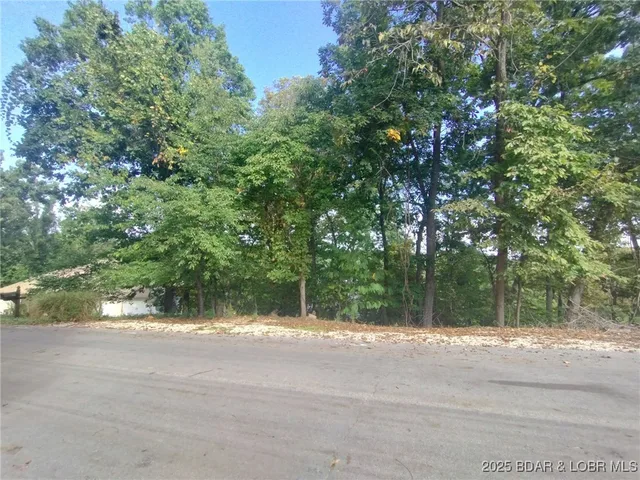 Primary bedroom — Lot 49 S. Beacon Ridge Drive Lake Ozark Missouri real estate