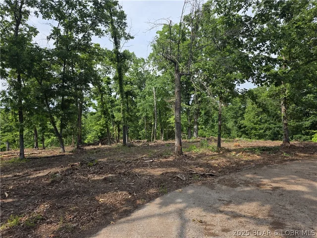 Living room — Lot 1 Oddo Drive Sunrise Beach Missouri real estate