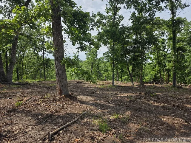 Kitchen — Lot 1 Oddo Drive Sunrise Beach Missouri real estate