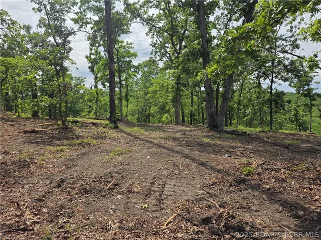 Primary bedroom — Lot 1 Oddo Drive Sunrise Beach Missouri real estate
