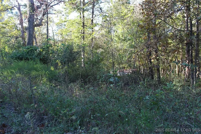 Dogwood Drive, Stover, MO