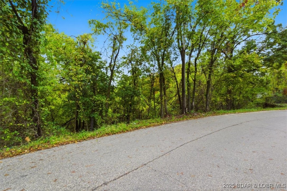 TBD Hickory Street Camdenton Missouri home for sale listed at $42,000