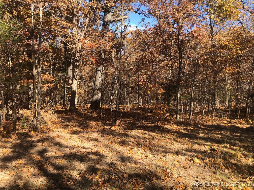 Long Hollow Rd Versailles Missouri home for sale listed at $25,000