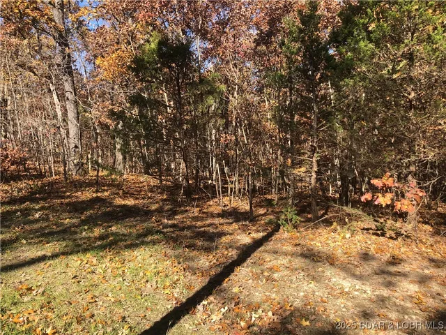Front exterior — Long Hollow Rd Versailles Missouri real estate