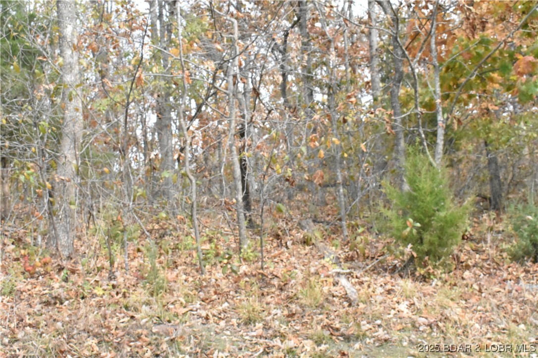 Lot 220 Imperial Point Drive Lake Ozark Missouri home for sale listed at $12,000
