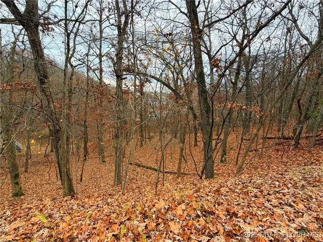 Primary bedroom — Lot 59 Grand Cove Road Sunrise Beach Missouri real estate
