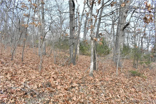 Kitchen — Lot 32 Forrest Hills Drive Lake Ozark Missouri real estate