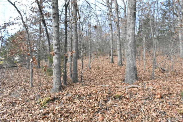 Primary bedroom — Lot 32 Forrest Hills Drive Lake Ozark Missouri real estate