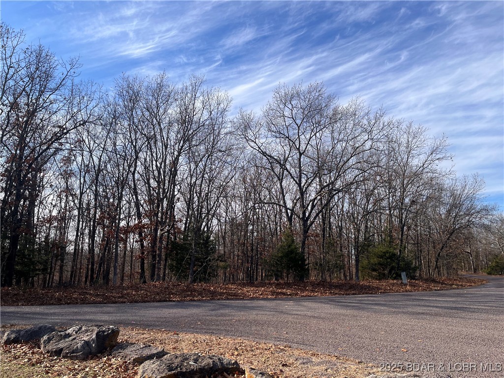 Lots 2 & 3 South Buck Creek Road Gravois Mills Missouri home for sale listed at $84,500