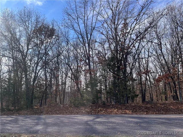 Front exterior — Lots 2 & 3 South Buck Creek Road Gravois Mills Missouri real estate
