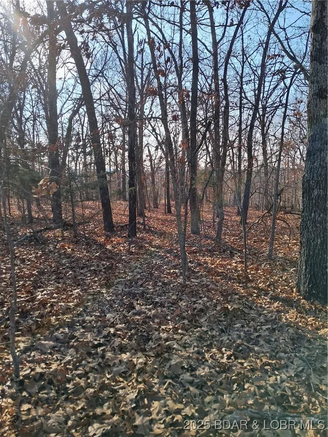 Primary bedroom — Lots 4 & 5 South Buck Creek Road Gravois Mills Missouri real estate