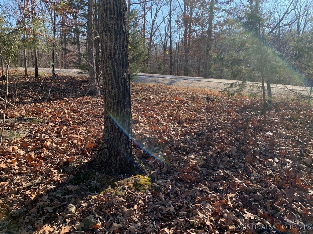 Lot 15 Glendale Court Lake Ozark Missouri home for sale listed at $6,000