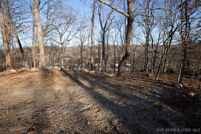 Primary bedroom — Lot 1287 Lakeshire Drive Camdenton Missouri real estate