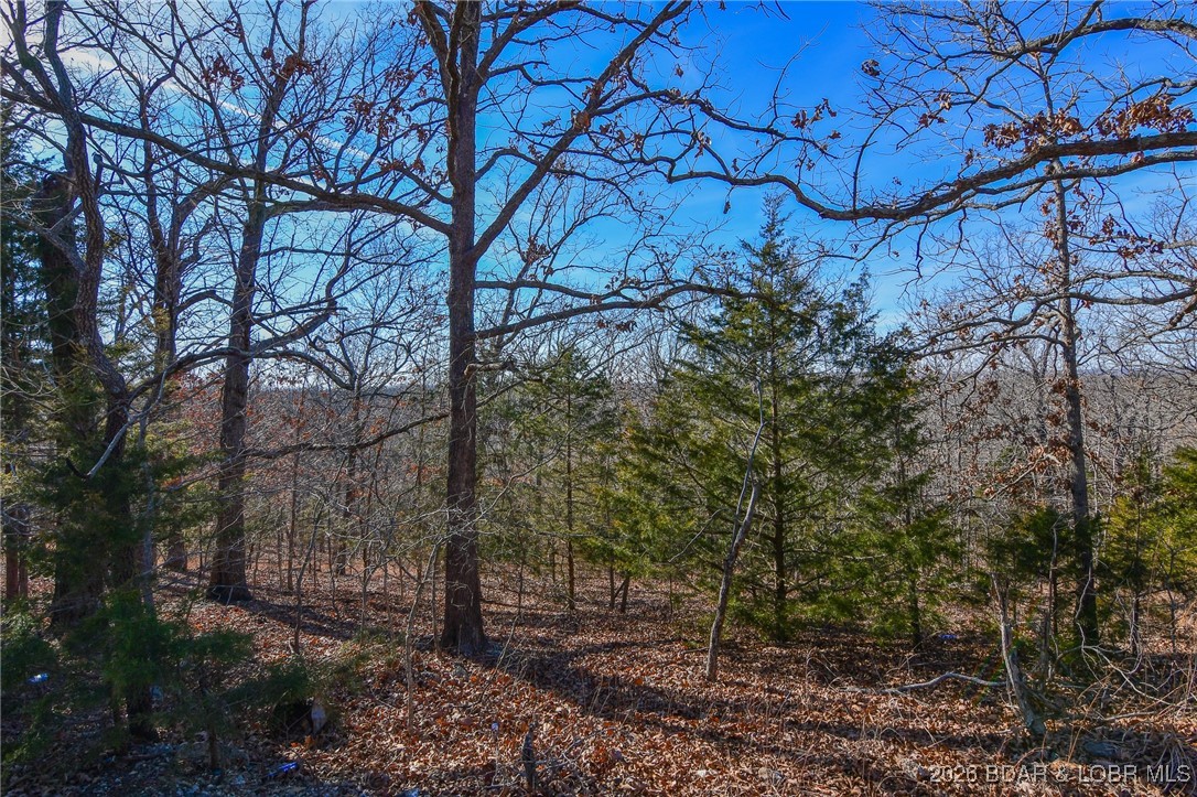 Lot 436 Pier 31 Road Camdenton Missouri home for sale listed at $6,500
