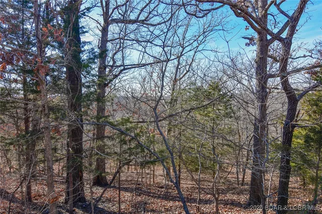 Living room — Lot 436 Pier 31 Road Camdenton Missouri real estate