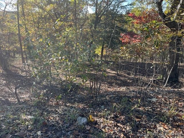 Kitchen — Lot 436 Pier 31 Road Camdenton Missouri real estate