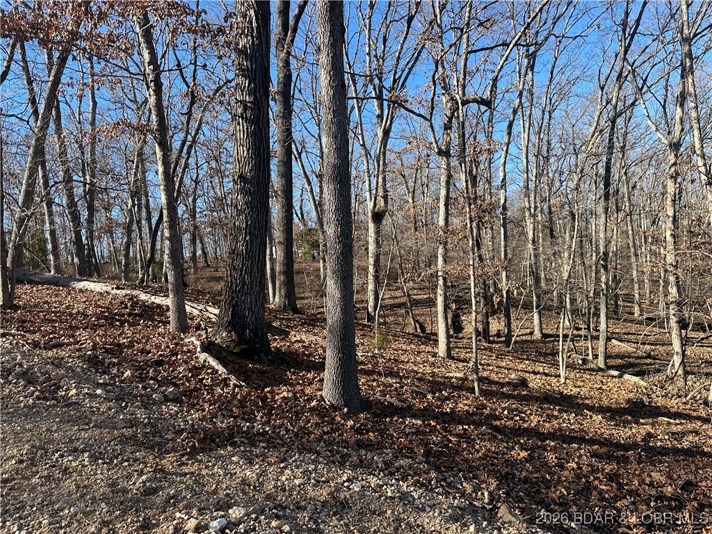 Lot 371 Cornette Cove #2 Lake Ozark Missouri home for sale listed at $9,000