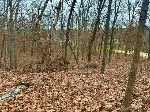 Front exterior — Lot 371 Cornette Cove #2 Lake Ozark Missouri real estate