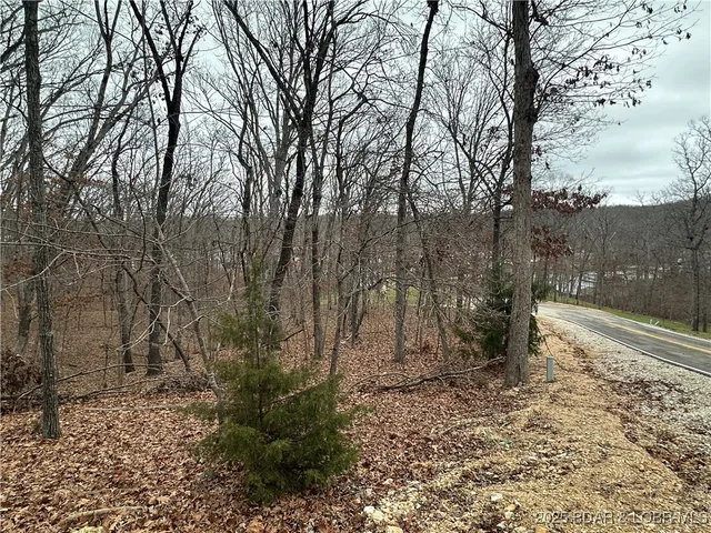 Kitchen — Lot 371 Cornette Cove #2 Lake Ozark Missouri real estate