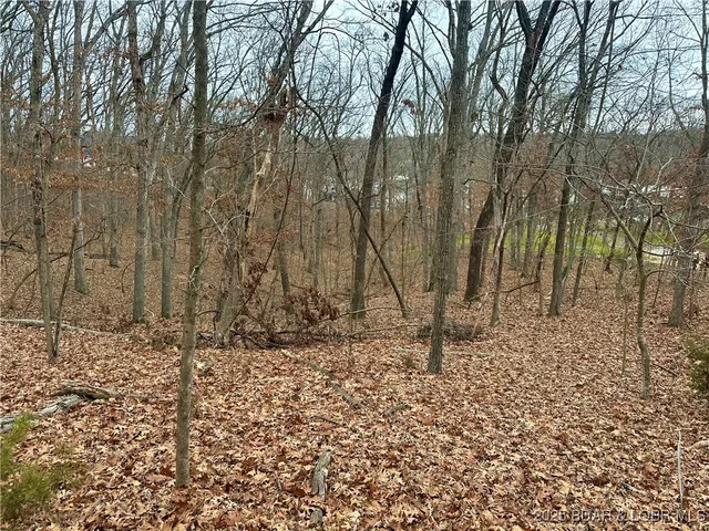 Primary bedroom — Lot 371 Cornette Cove #2 Lake Ozark Missouri real estate