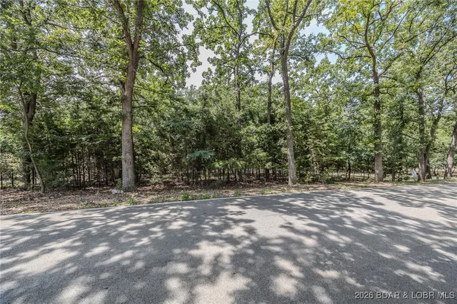 Primary bedroom — LOT 10A Spindrifter Court Osage Beach Missouri real estate